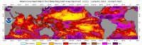 NOAA Coral Reef Watch 2023-2025